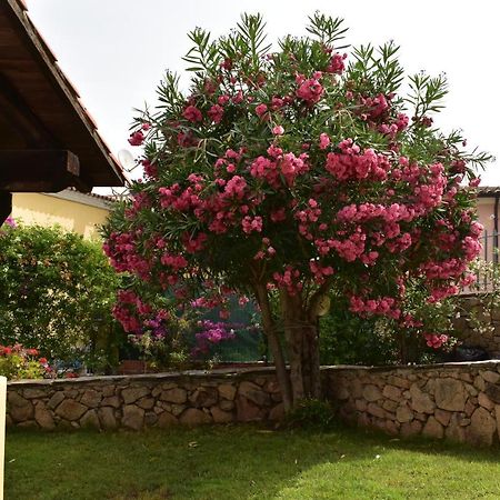 Splendida Villetta Tavolara 1 Vaccileddi Exteriér fotografie