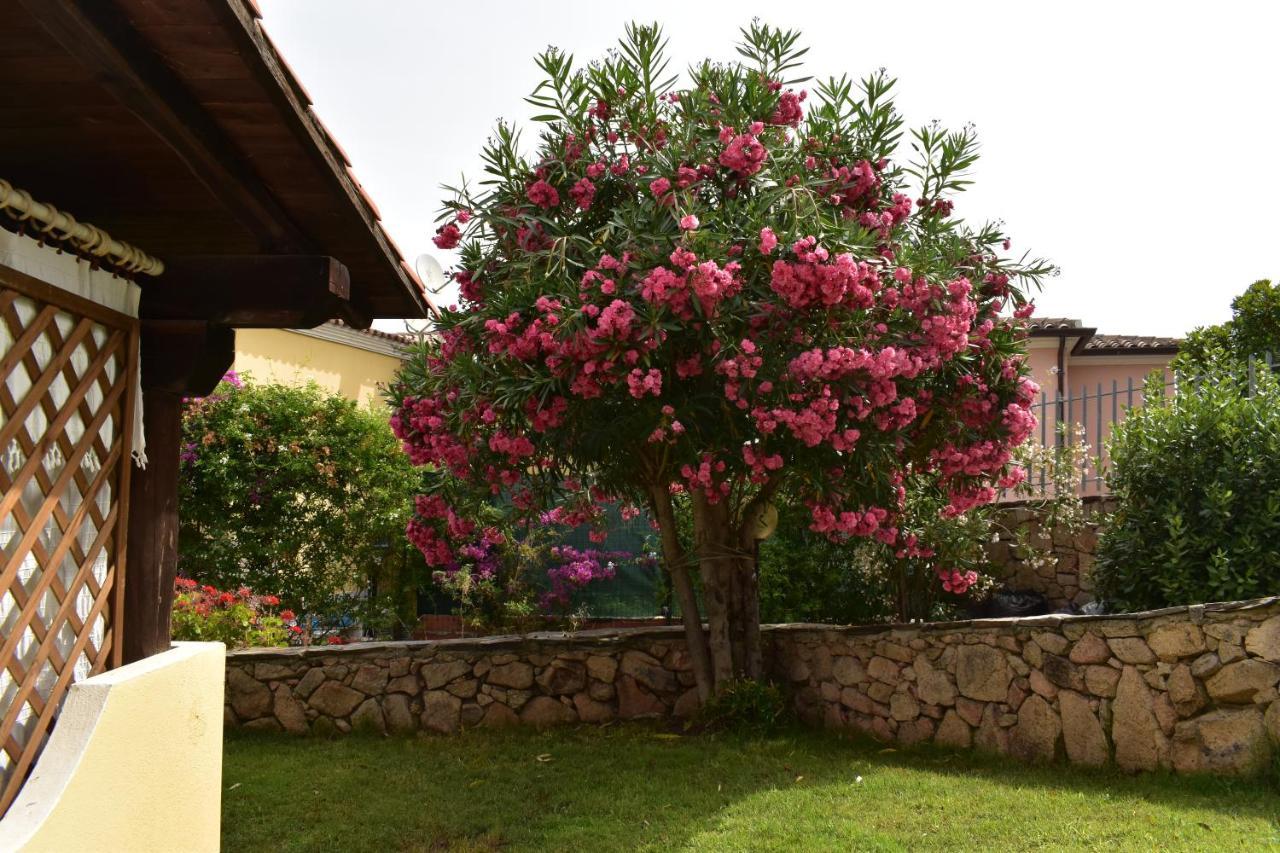 Splendida Villetta Tavolara 1 Vaccileddi Exteriér fotografie